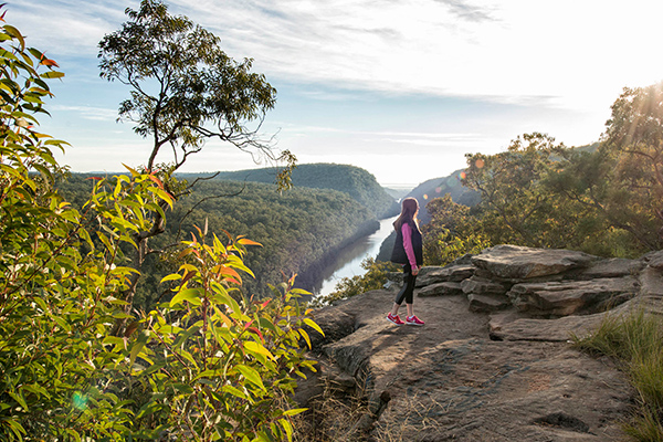 Rock-Lookout.jpg