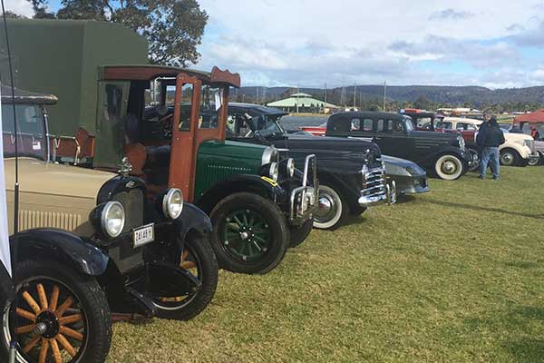 Old cars lined up on grass