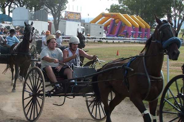 Several horse buggies racing around dirt track