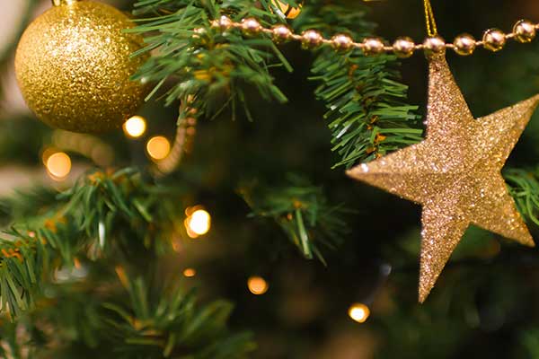 Christmas Day Lunch at Panthers Event Centre Gold Christmas Decorations on tree