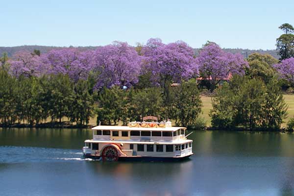 Image of the Nepean Belle