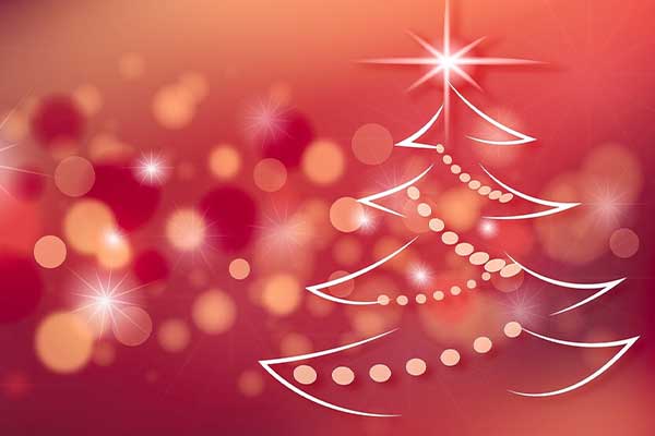 Christmas Day Lunch at St Marys Diggers