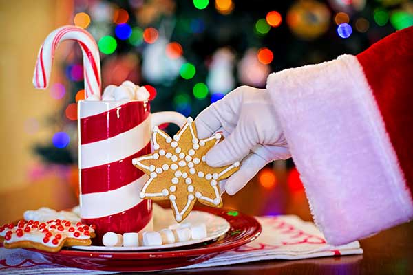 Santas hand holding cookie