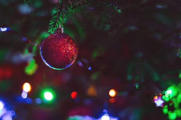 Red Bauble hanging in Christmas tree