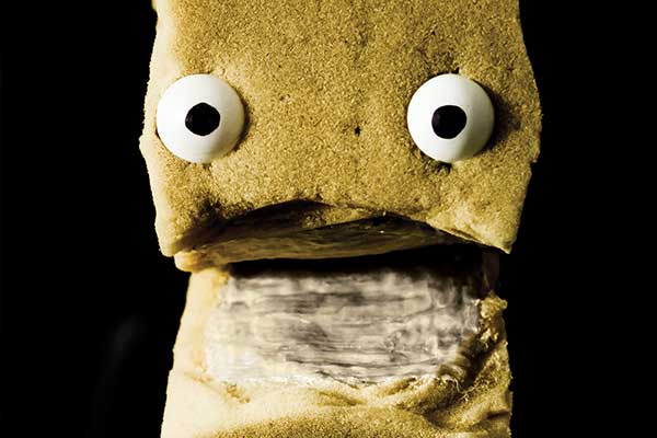 Sponge puppet eyes