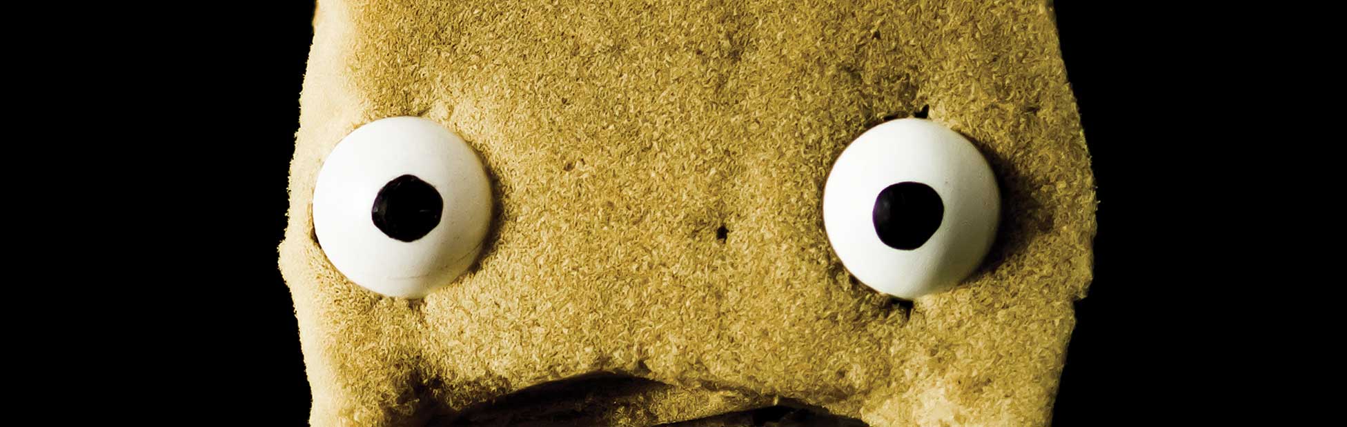 Sponge puppet eyes