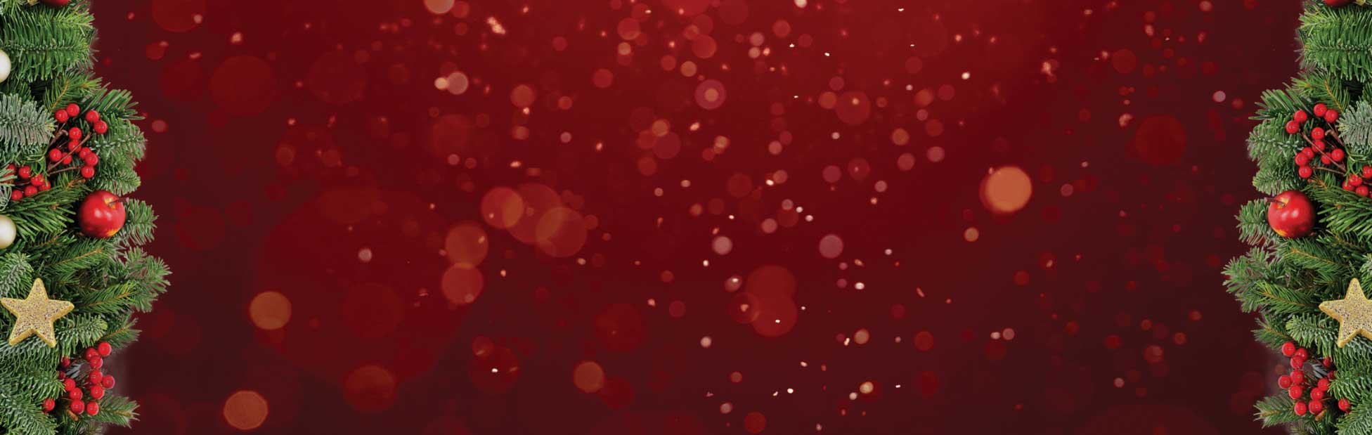 Christmas backdrop
