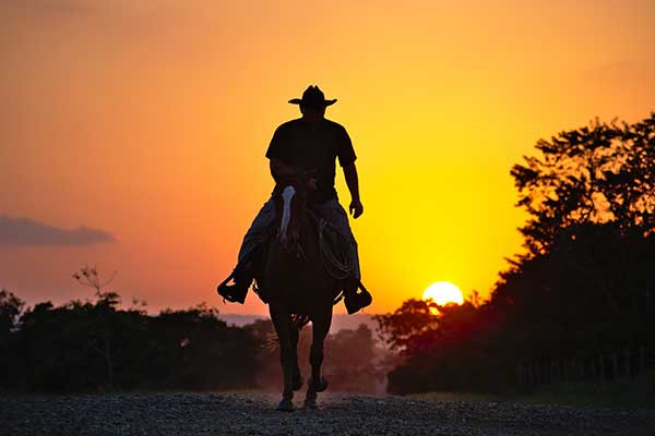 cowboy riding horse silhouetted by sunset