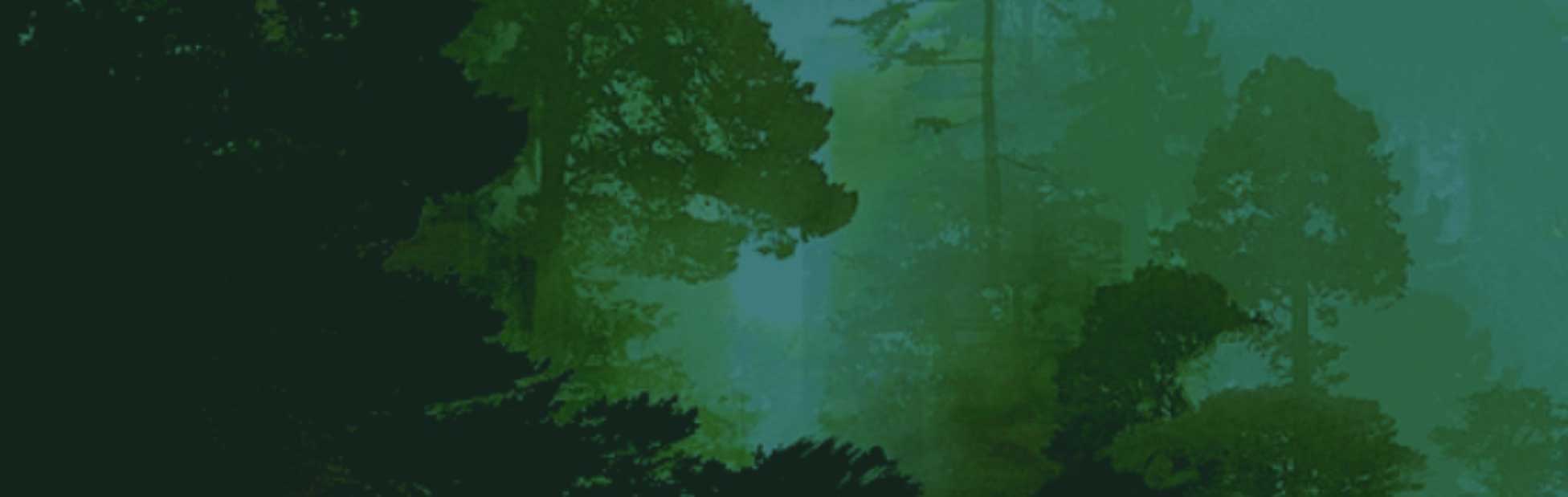 Green tinted forest silhouette 