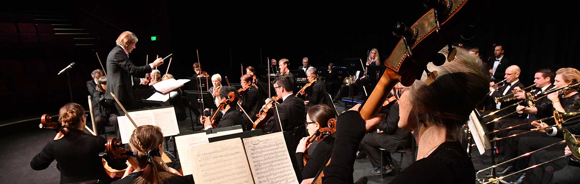 Orchestra on stage
