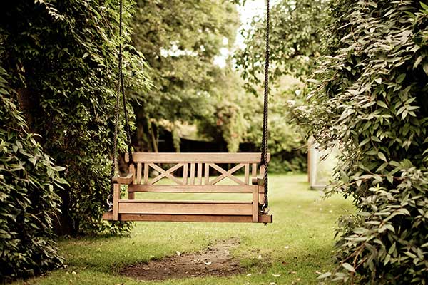 inviting wooden park bench in garden