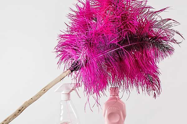 Pink feather duster