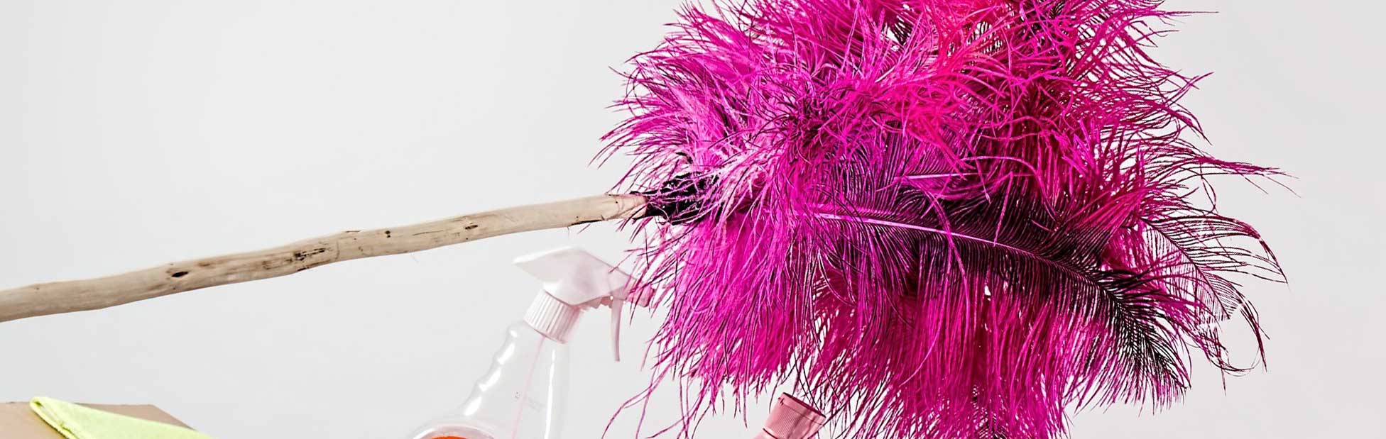 Pink feather duster