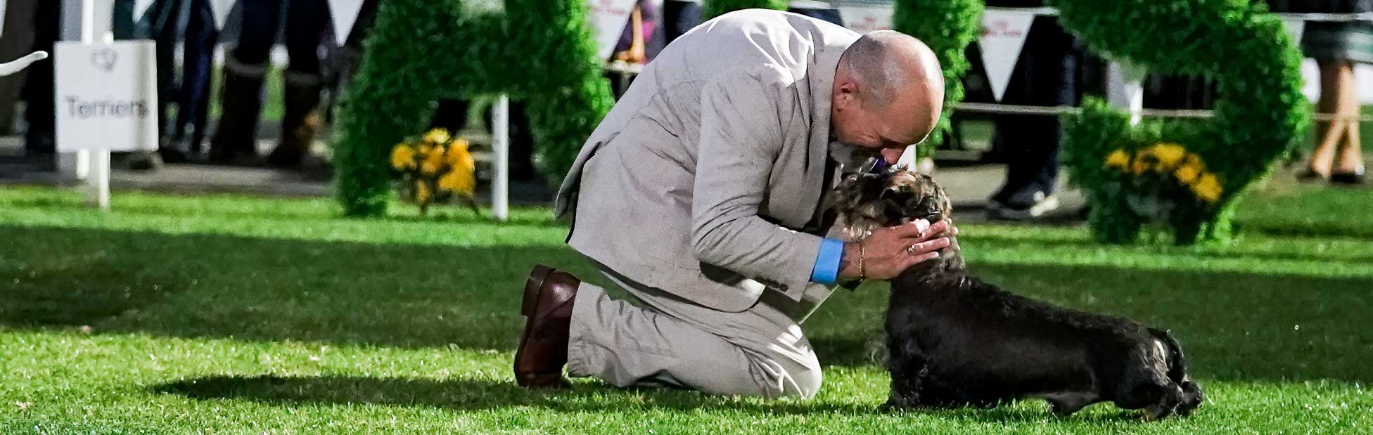 DOGS NSW International Royal Canine Spring Fair Dog Show