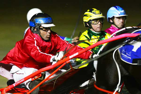 Group of harness racing horses