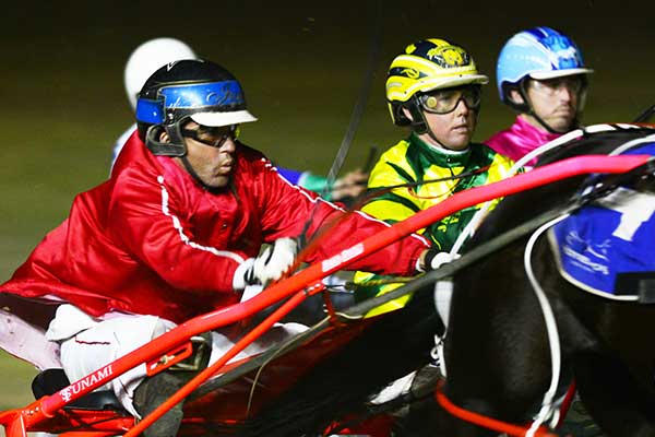 Harness Racing Night Group of harness racing horses