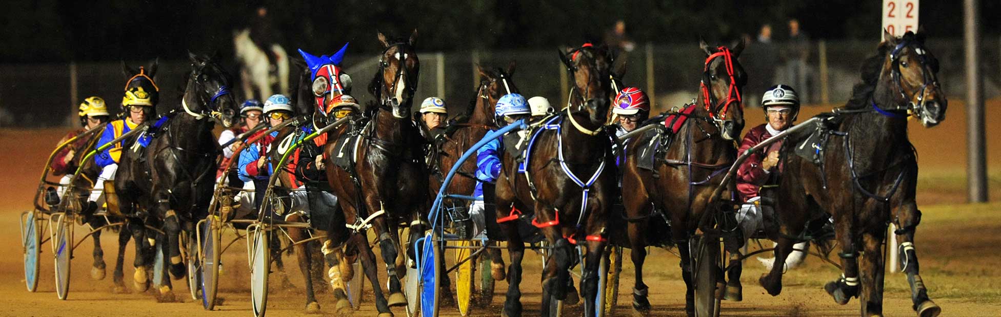 Group of horses racing