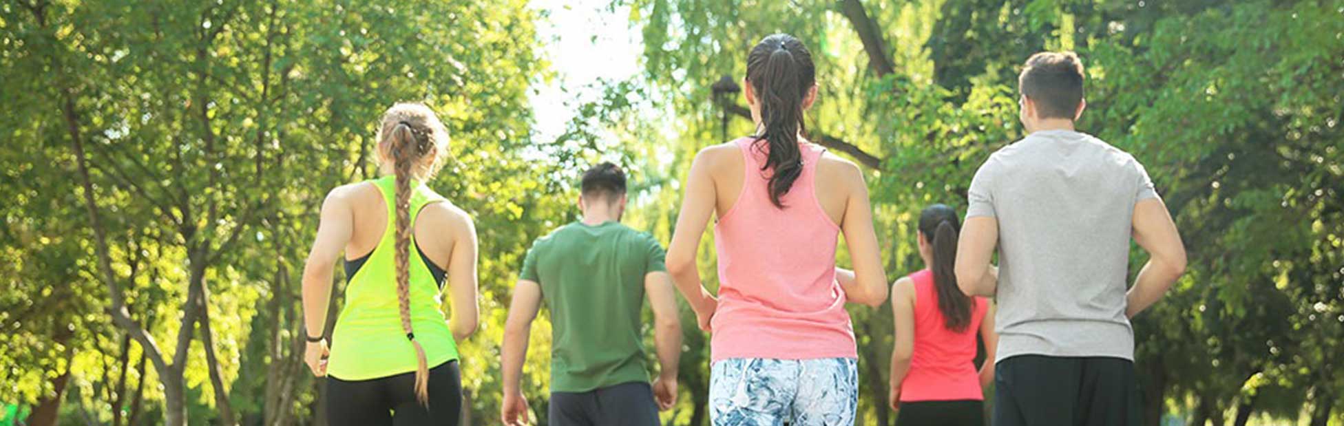 Five people walking along tree lined path