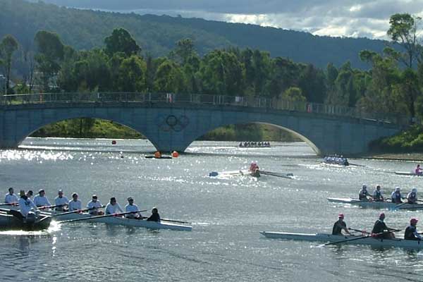 rowers on water