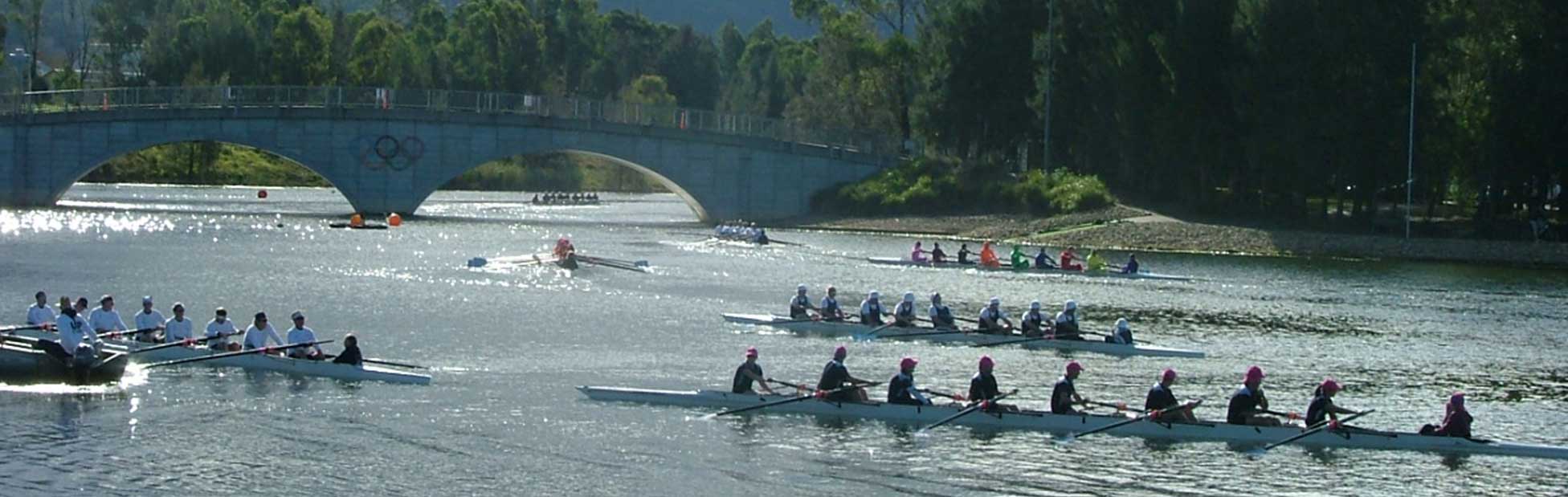 row boats in the water