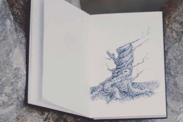 drawing in book in tree