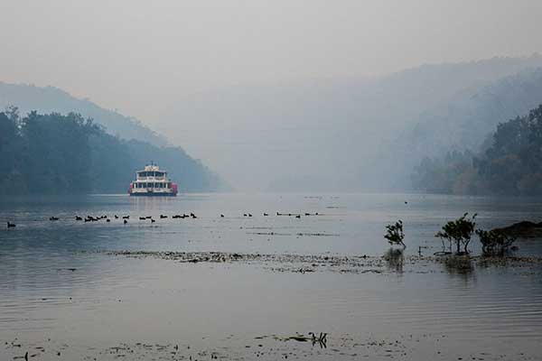 Nepean Belle on the Nepean River in mist