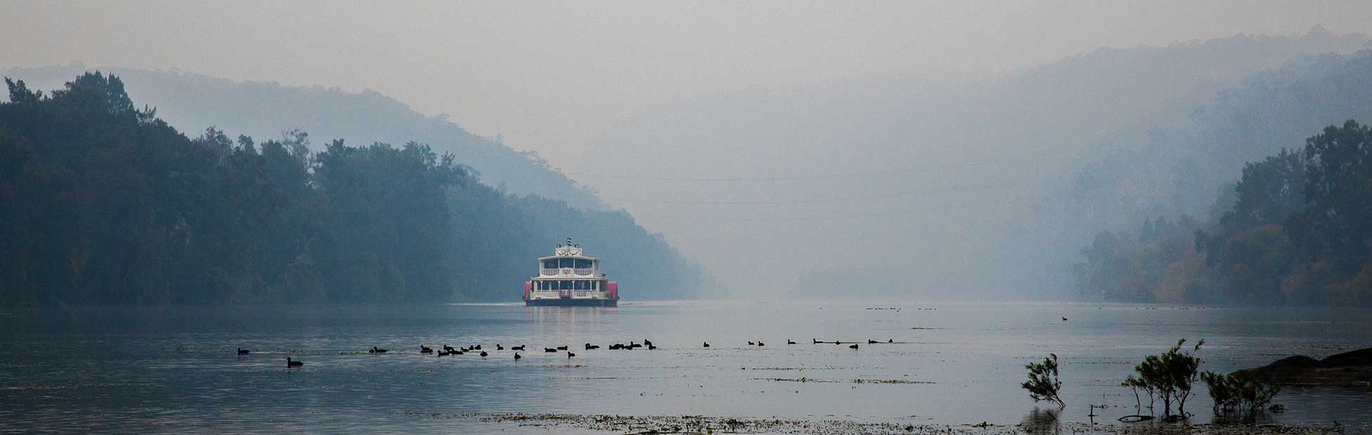 Nepean Belle on the Nepean River in mist