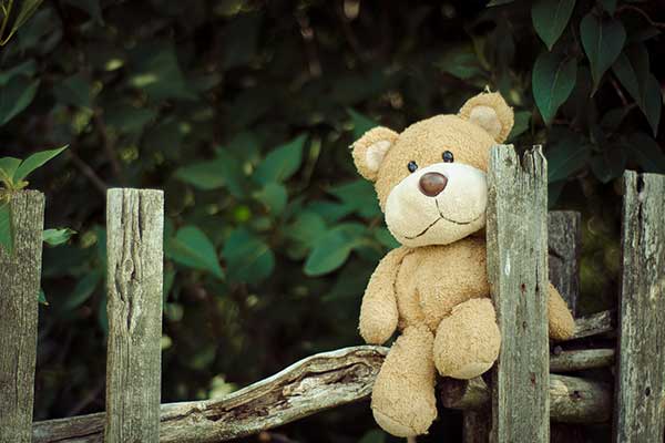 Teddy bear on fence