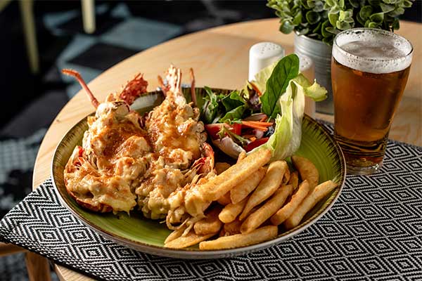 Meal next to beer on table