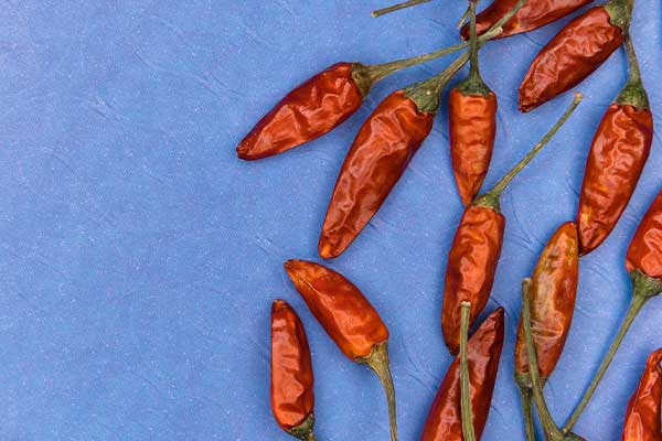 chillies on purple background