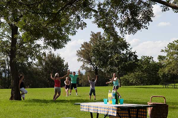 Cricket in green park